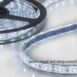 LED AQUA862-Flexband, 24V, 4,8W/m, IP68, kaltweiss