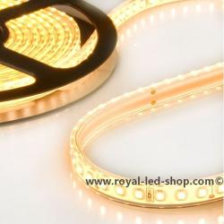 LED AQUA827-Flexband, 24V, 10W/m, IP68, warmweiss