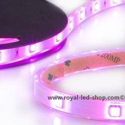 LED AQUA-Flexband, 24V, 7,2W/m, IP68, RGB
